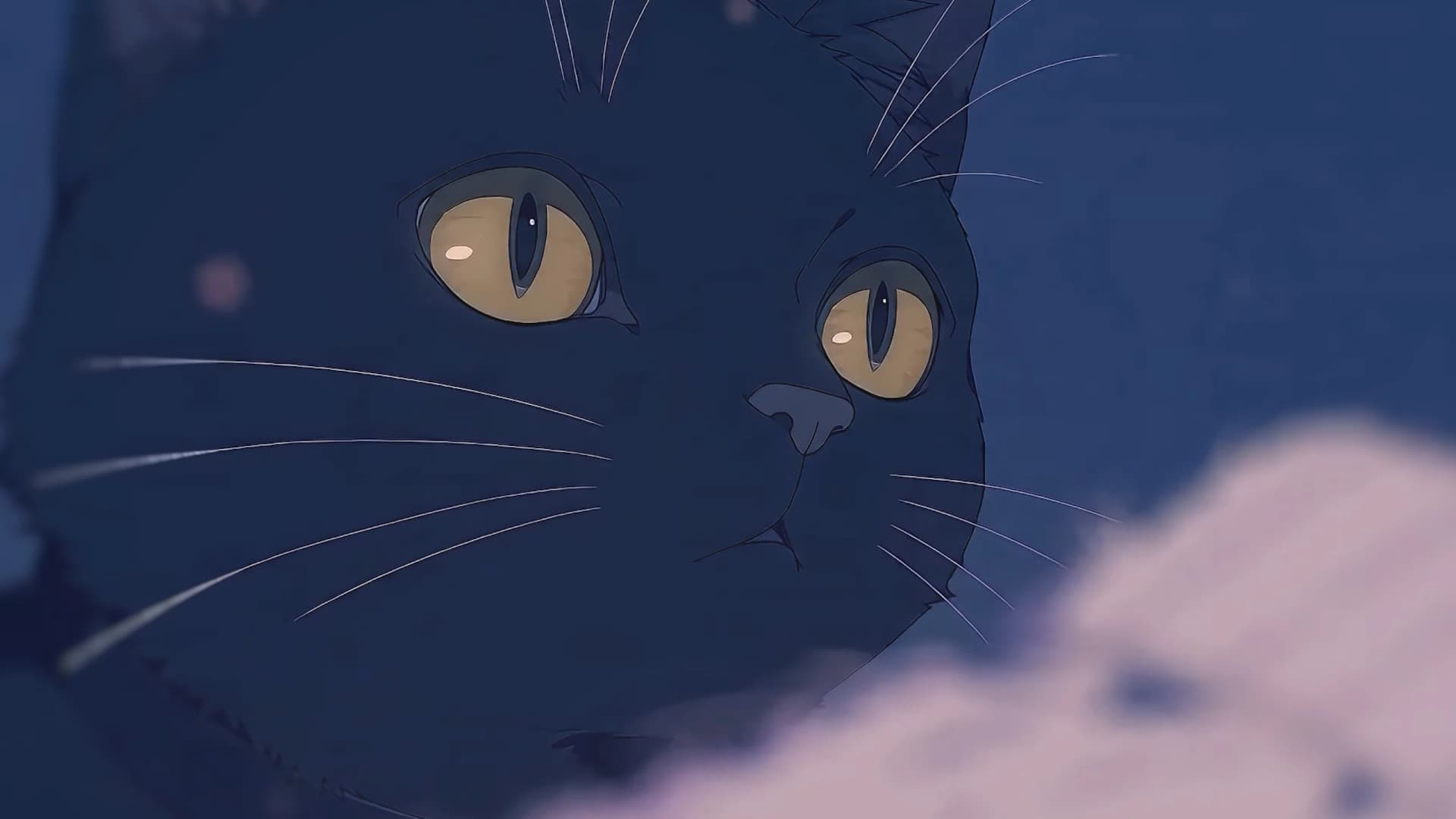 猫との秘密
