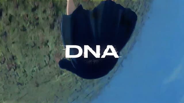 Ry - DNA サムネイル